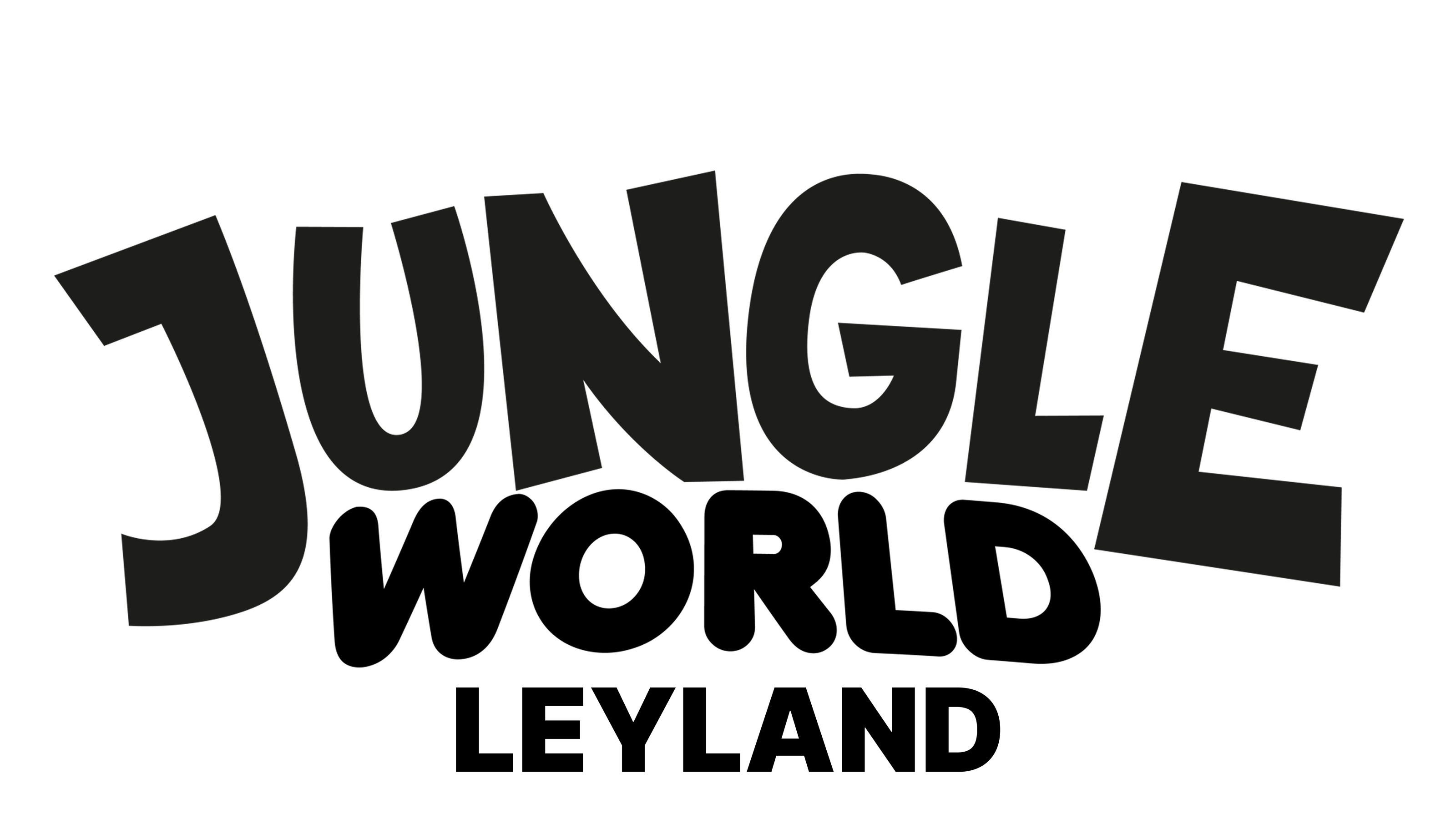 Jungle World LTD